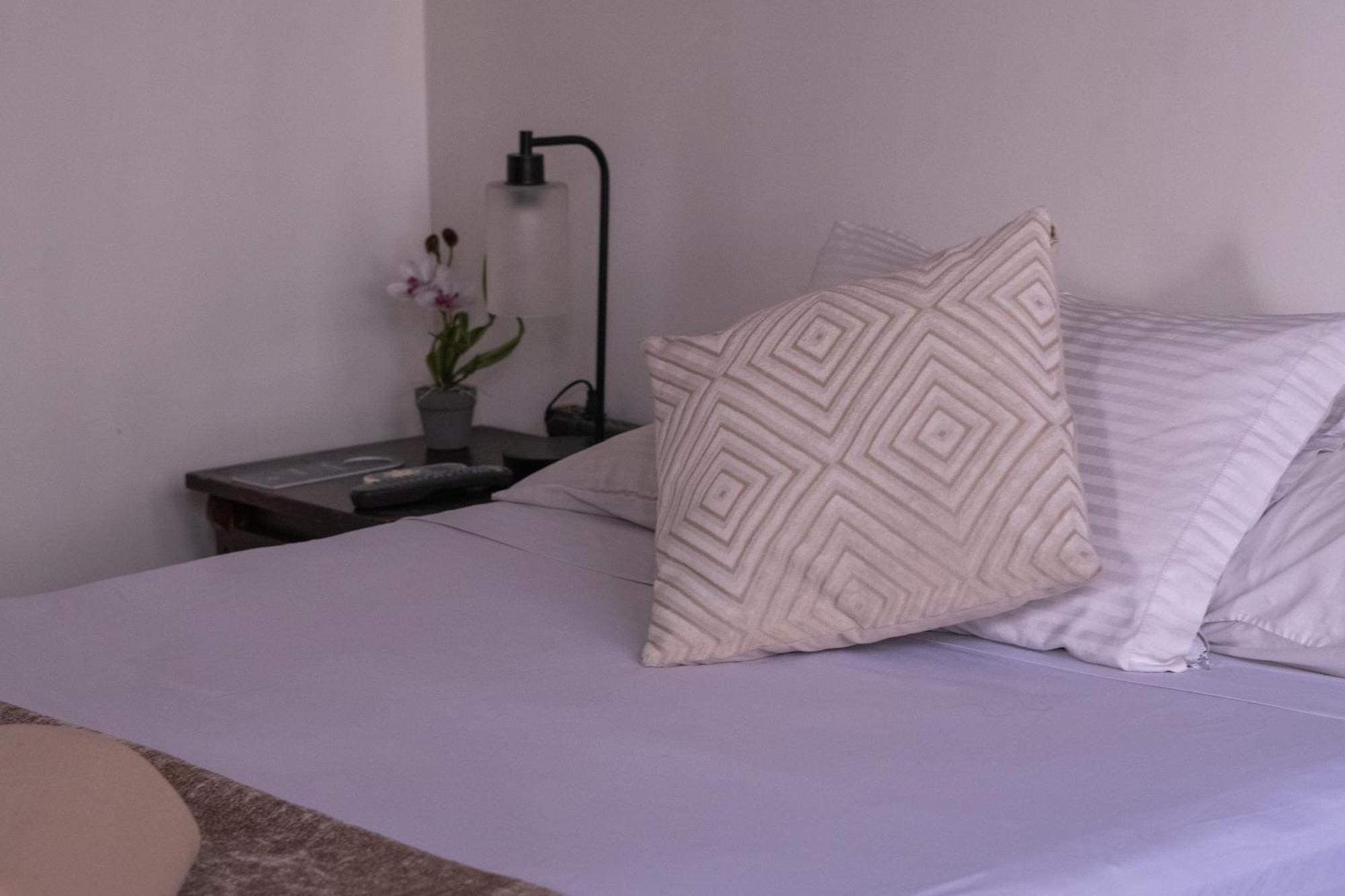 Hotel Casa Colon San José Extérieur photo